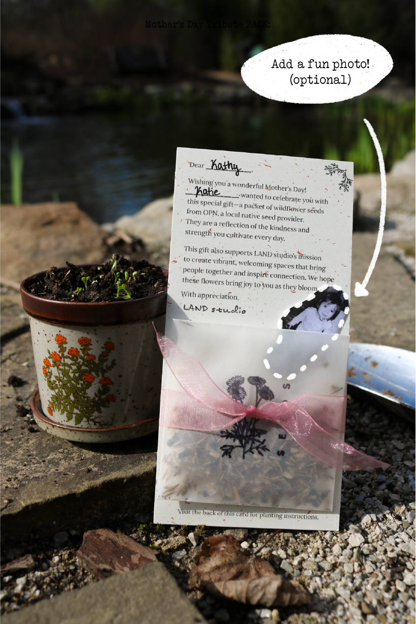 Mother’s Day Wildflower Gift