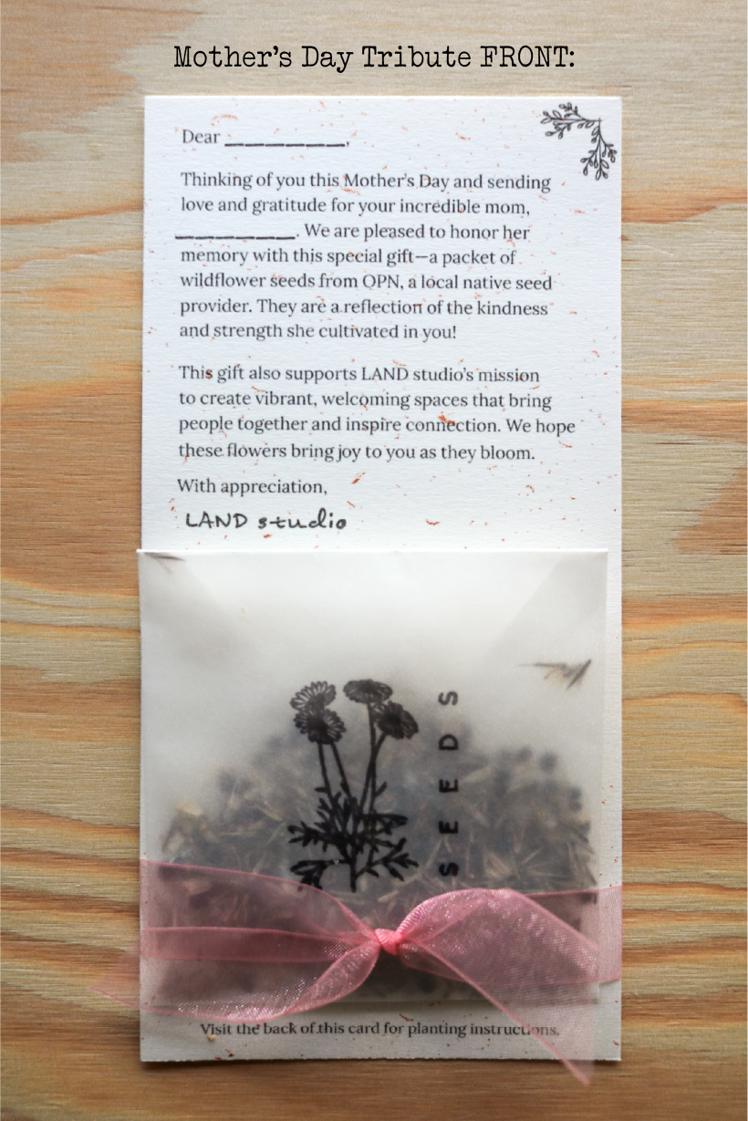 Mother’s Day Wildflower Gift